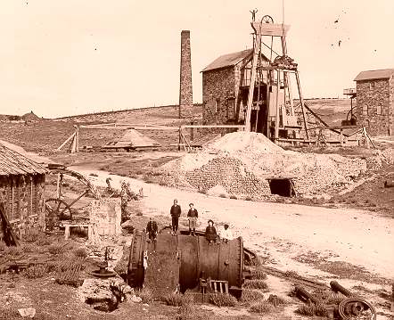 Morph_01.jpg (38297 bytes)