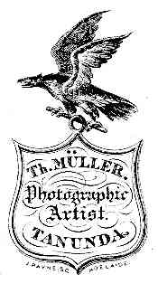 Mull_eag.jpg (11130 bytes)