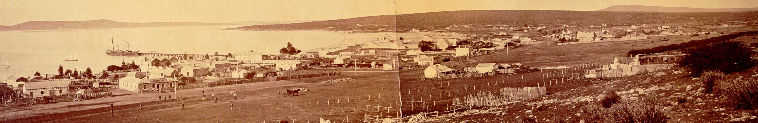 Pt_linc2.jpg (140443 bytes)