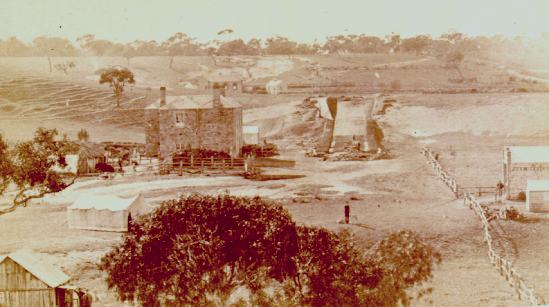 Stacycrk.jpg (34905 bytes)