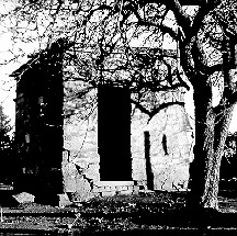 twndkrm.jpg (32101 bytes)