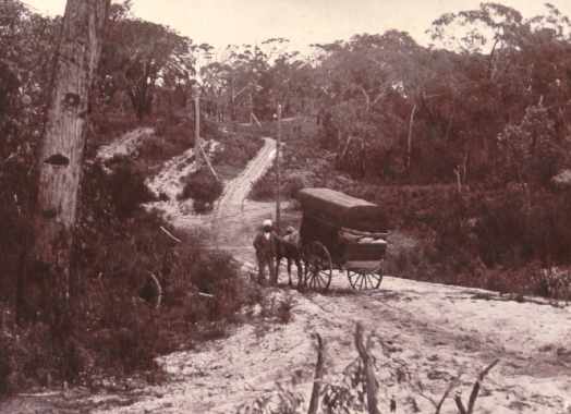 Til_afgh.jpg (24347 bytes)