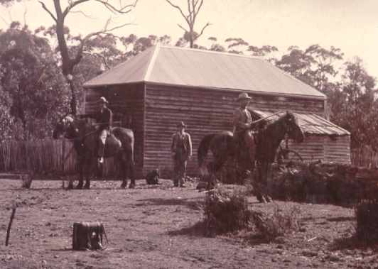 Til_brun.jpg (23258 bytes)