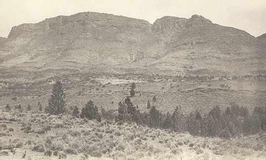 Til_rblf.jpg (25753 bytes)