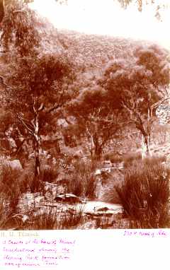 Til_slid.jpg (15695 bytes)
