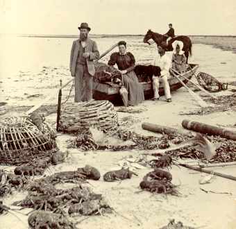 Til_spoi.jpg (18846 bytes)