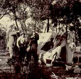 Til_tigr.jpg (12264 bytes)